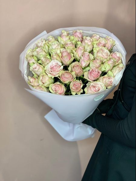 Троянда Пінк Атена copy_3_68390 фото